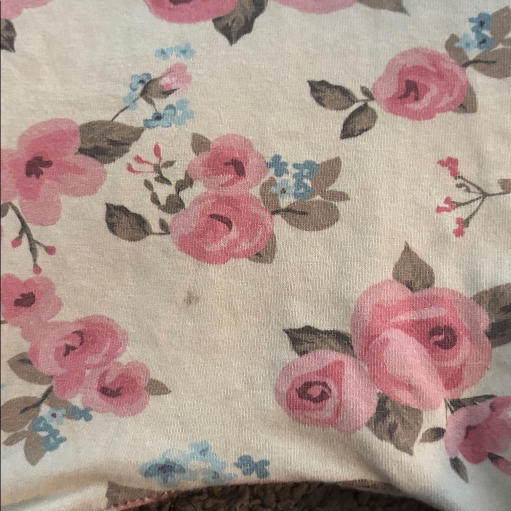 Rags clothing shorts 2t - Picture 3 of 4